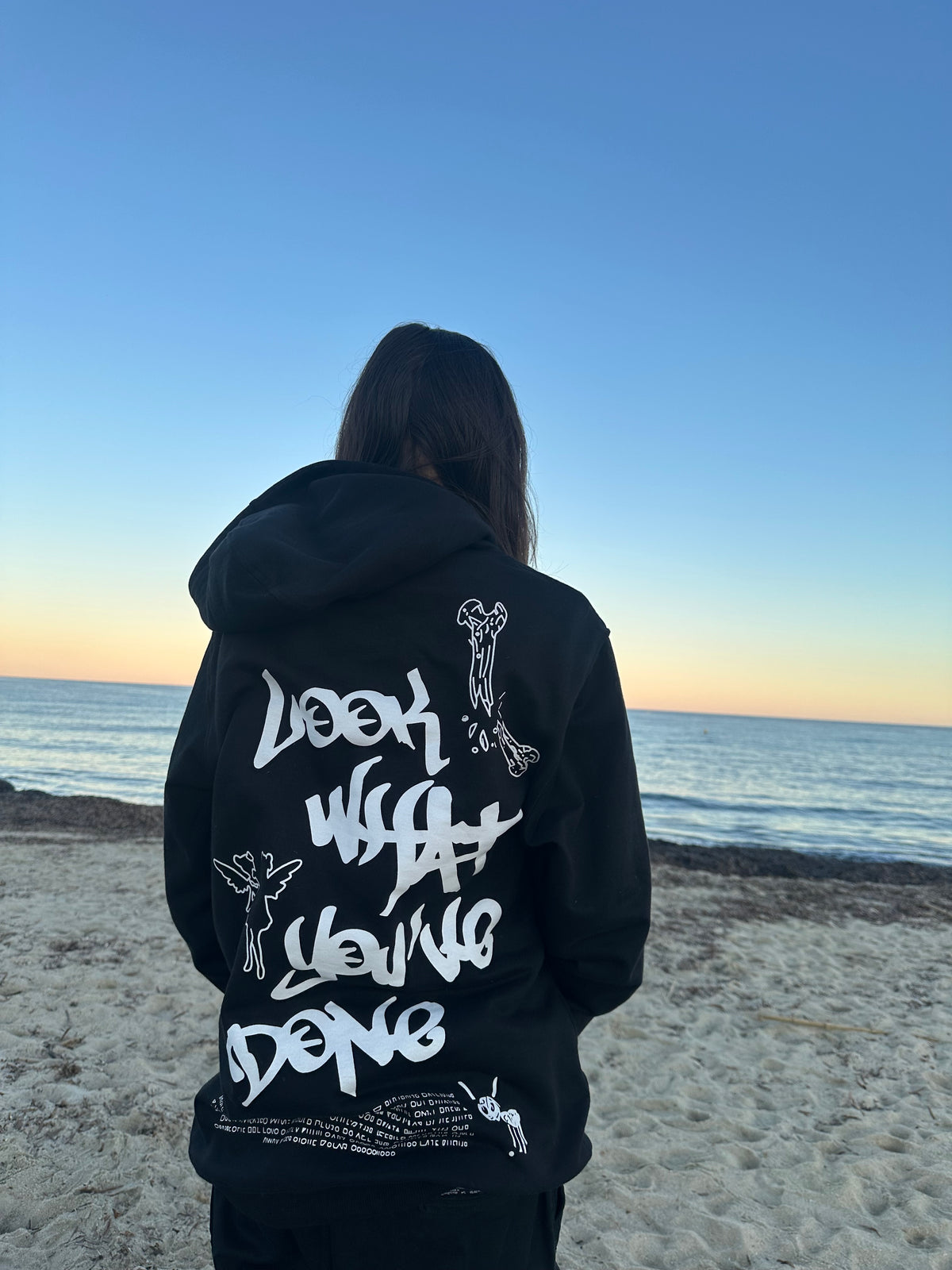 the ovo hoodie